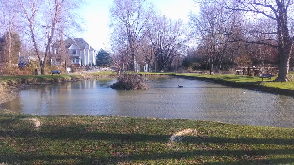 Patton Park A Great Place To Walk In Hendersonville NC Richards   Patton Park Pond Hendersonville NC 